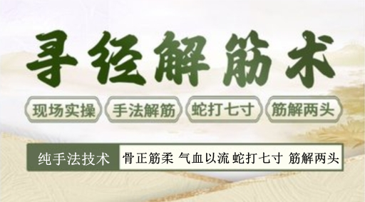 【寻经解筋术】